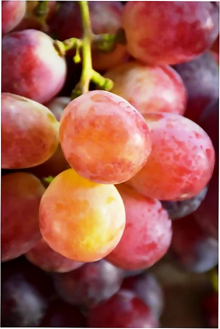 comer uvas en otoño