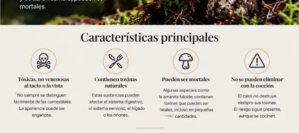 Qué son las setas tóxicas