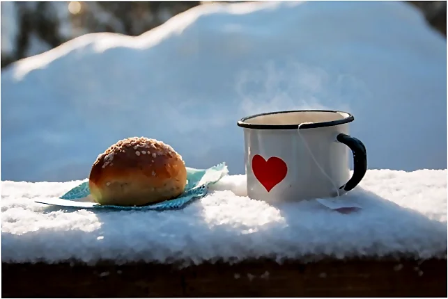 Alimentos de invierno