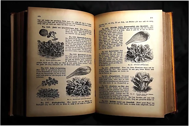 Que vamos a aprender en los cursos de cocina de verano