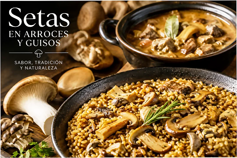Setas en arroces y guisos. Cursos para principiantes en TdEs Barcelna