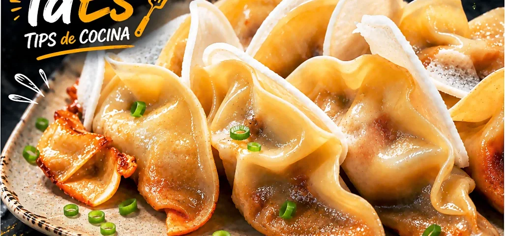 Gyozas de pollo teriyaki. Cursos para principiantes en TdEs